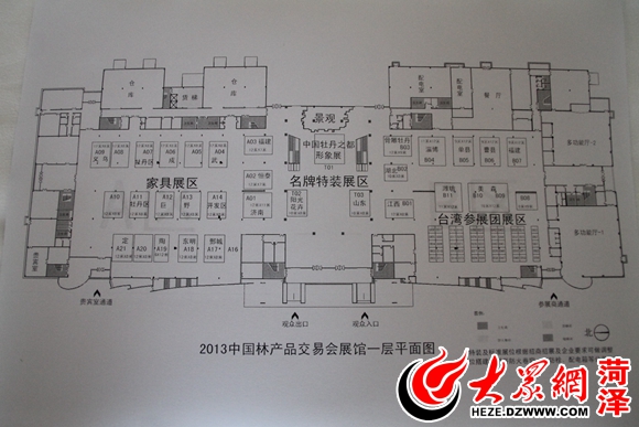 王志江解讀十年林交會 菏澤林產品加工產值增長10倍，景觀設計成新亮點